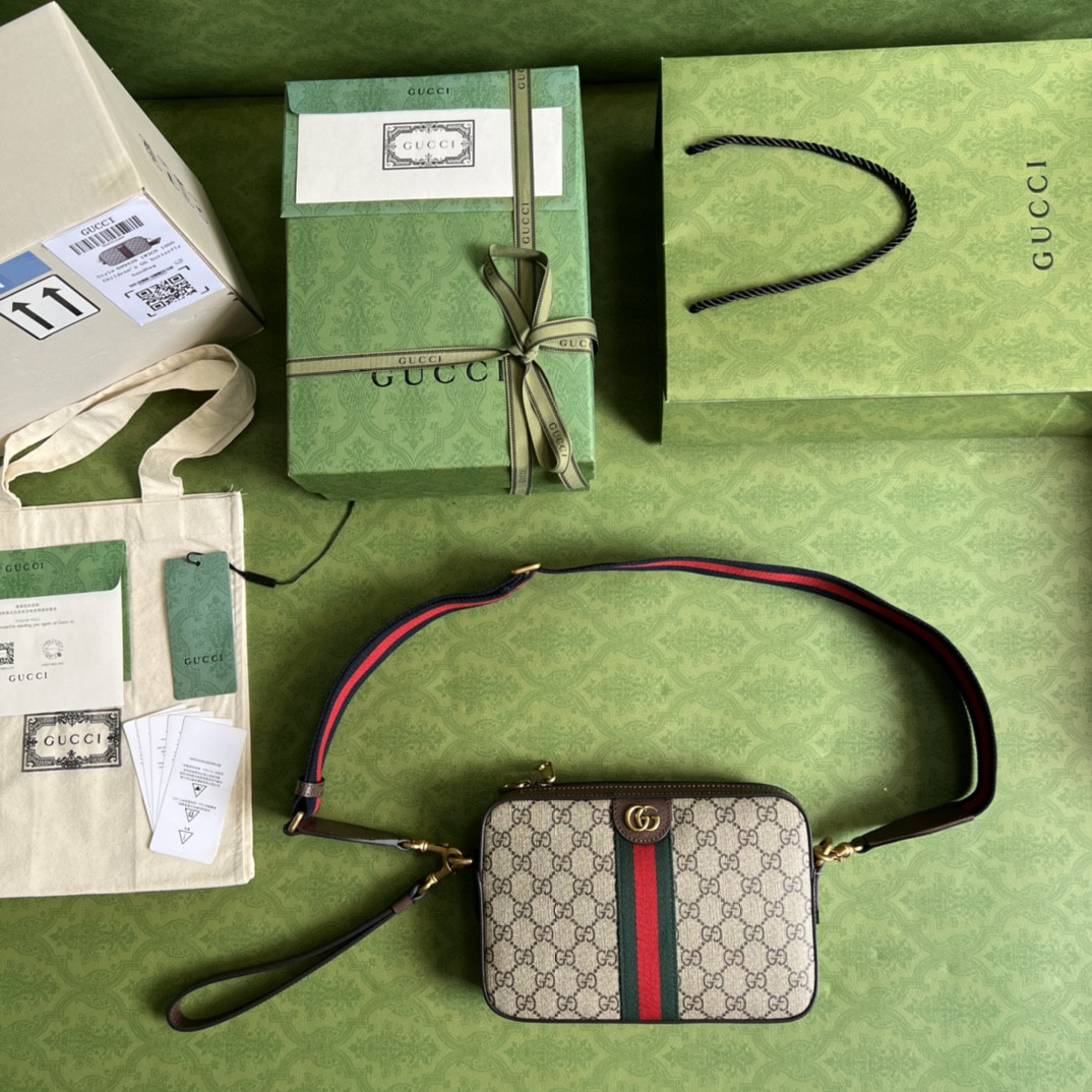 Gucci Ophidia Bag
