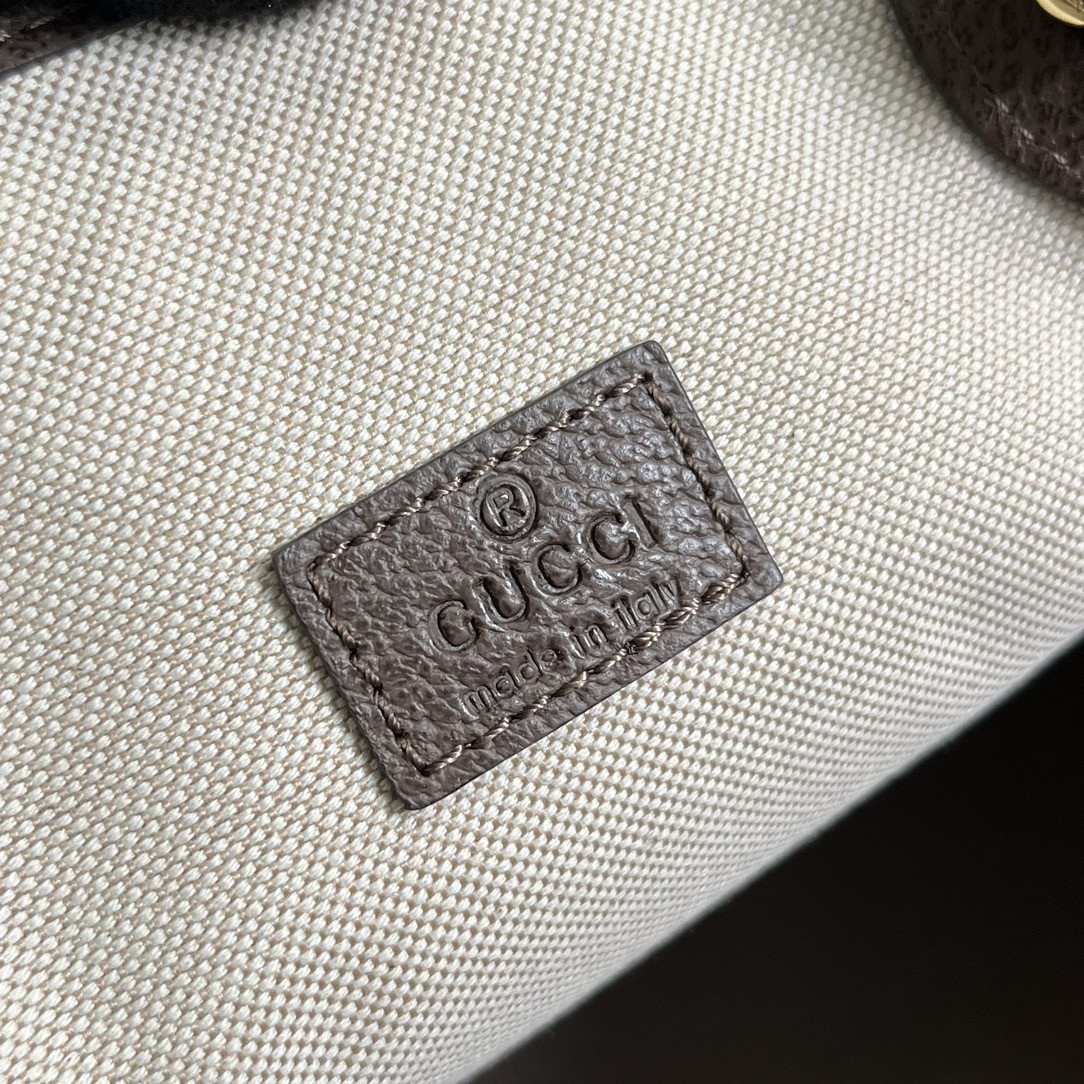 Gucci Ophidia Bag