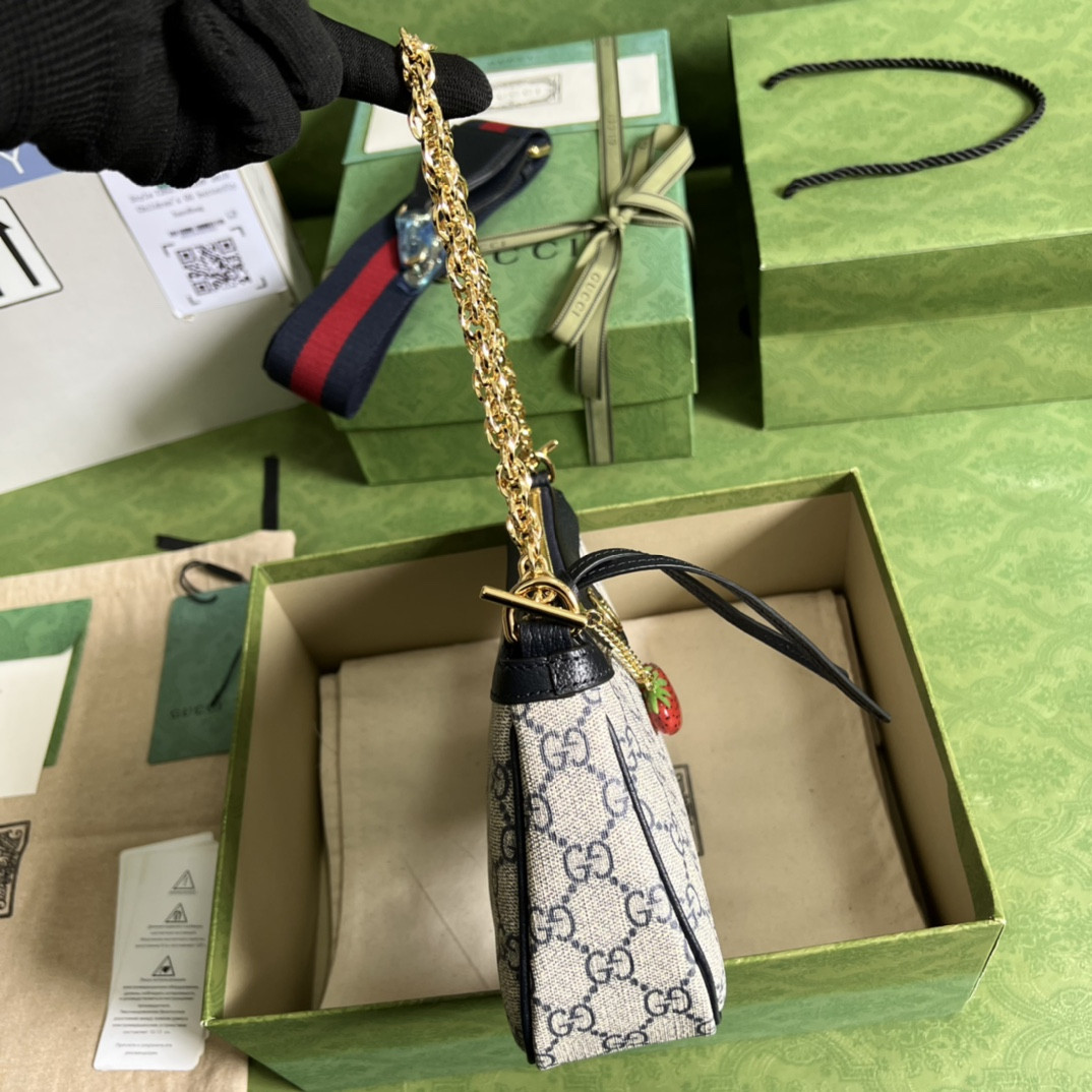 Gucci Ophidia Bag