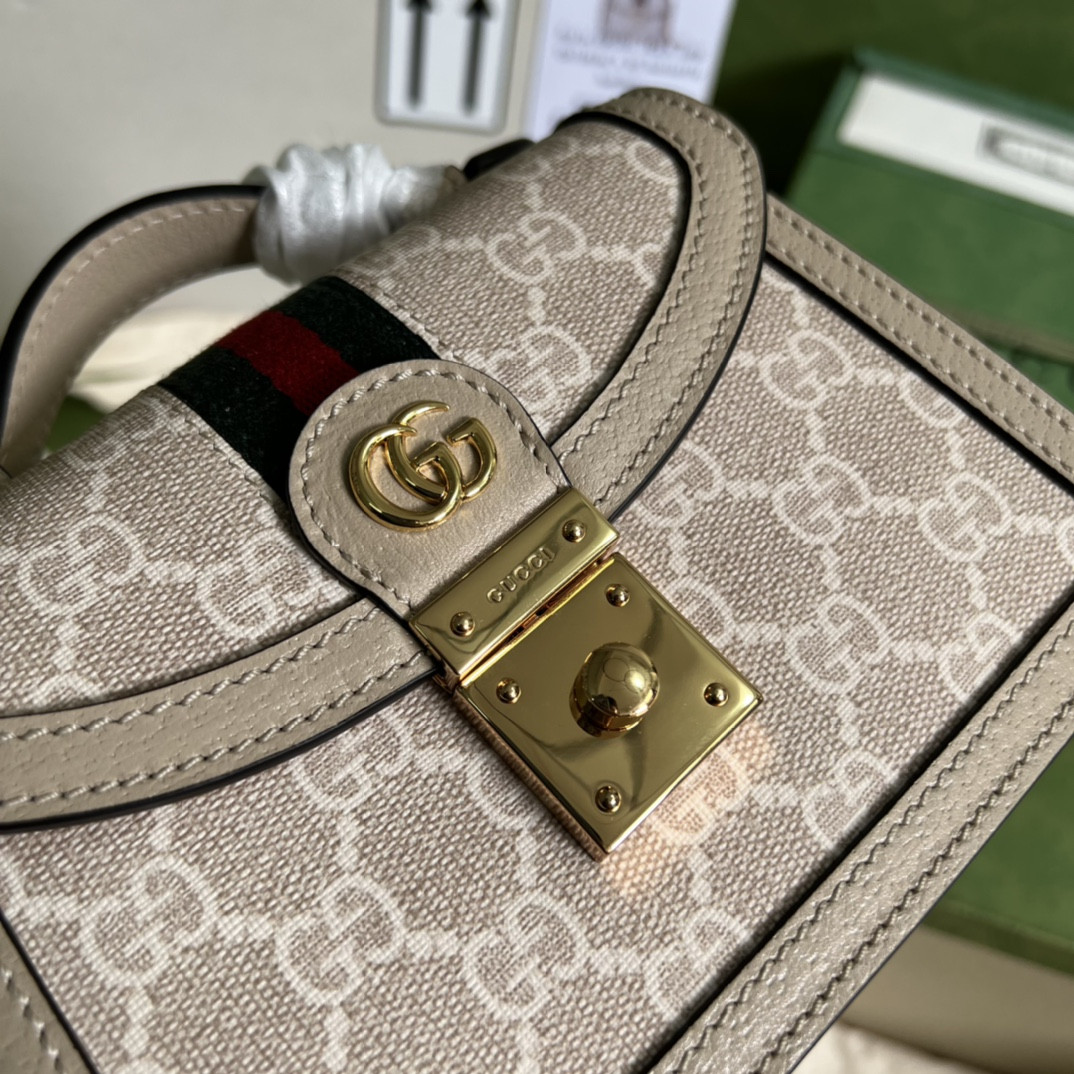 Gucci Ophidia Bag