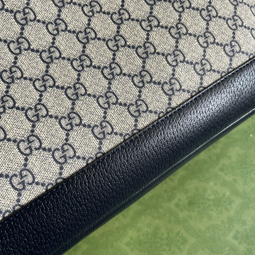 Gucci Ophidia Bag
