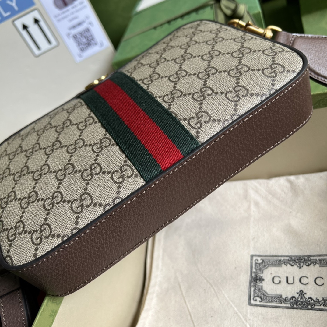 Gucci Ophidia Bag