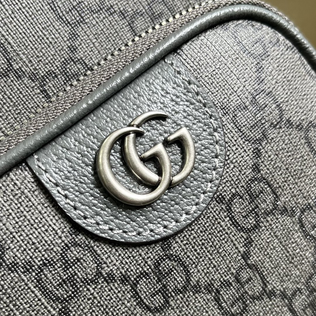 Gucci Ophidia Bag