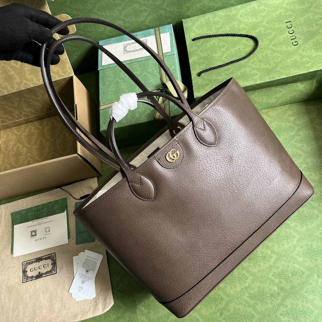 Gucci Ophidia Bag