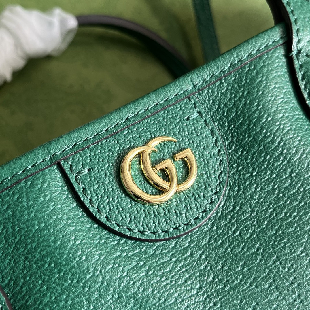 Gucci Ophidia Bag