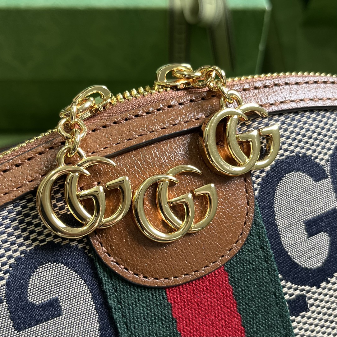 Gucci Ophidia Bag