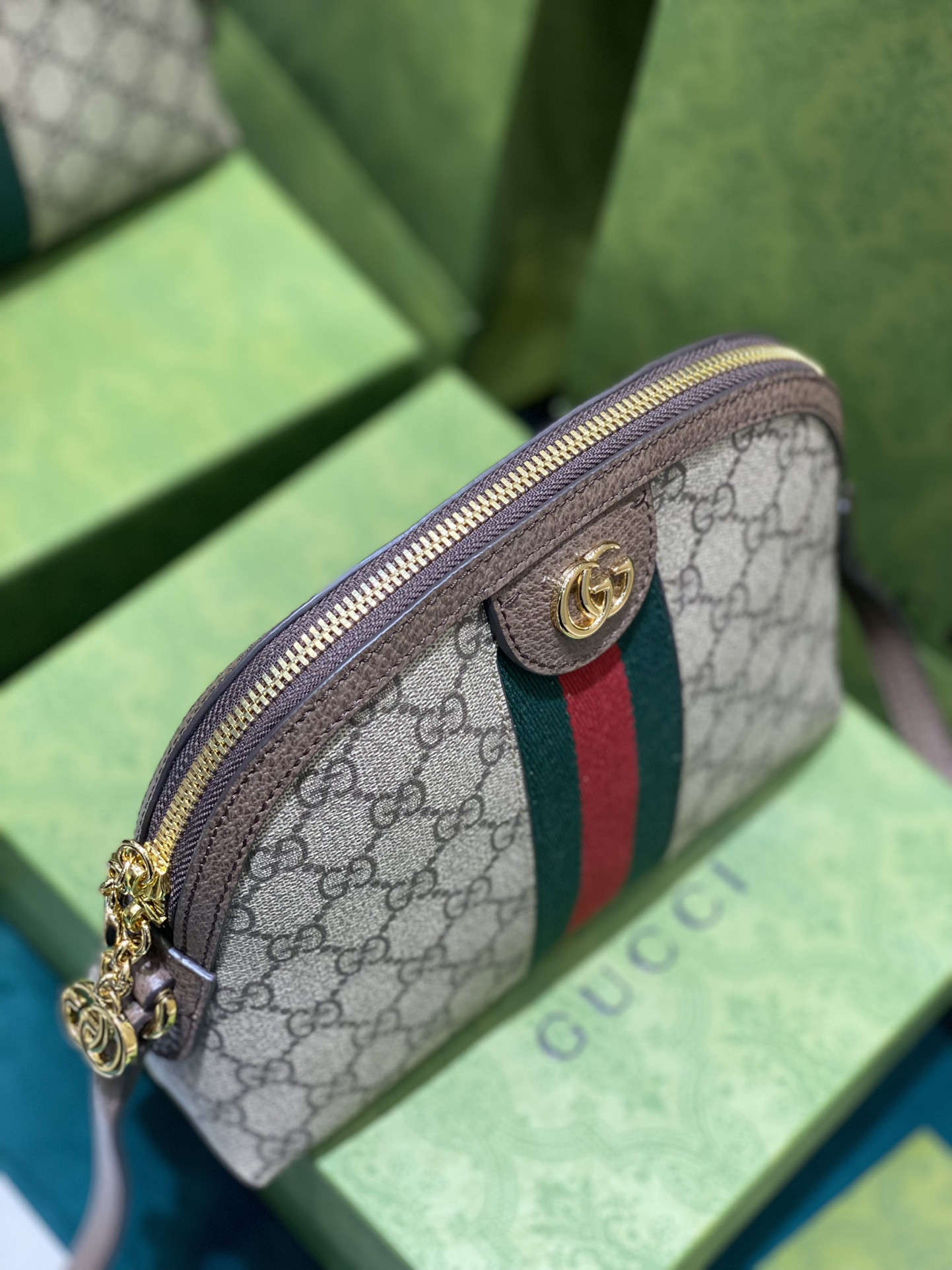 Gucci Ophidia Bag