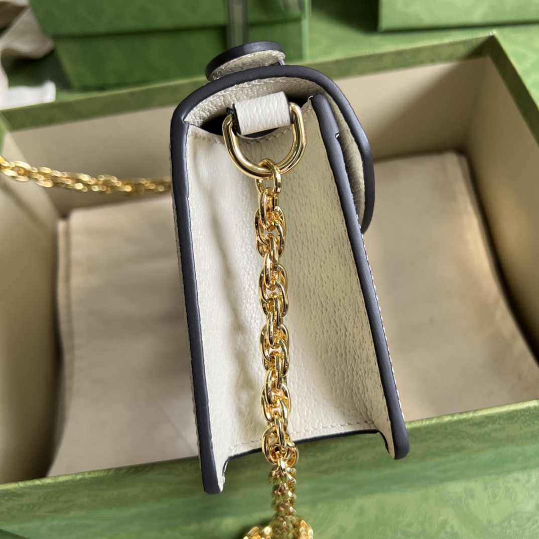Gucci Ophidia Bag