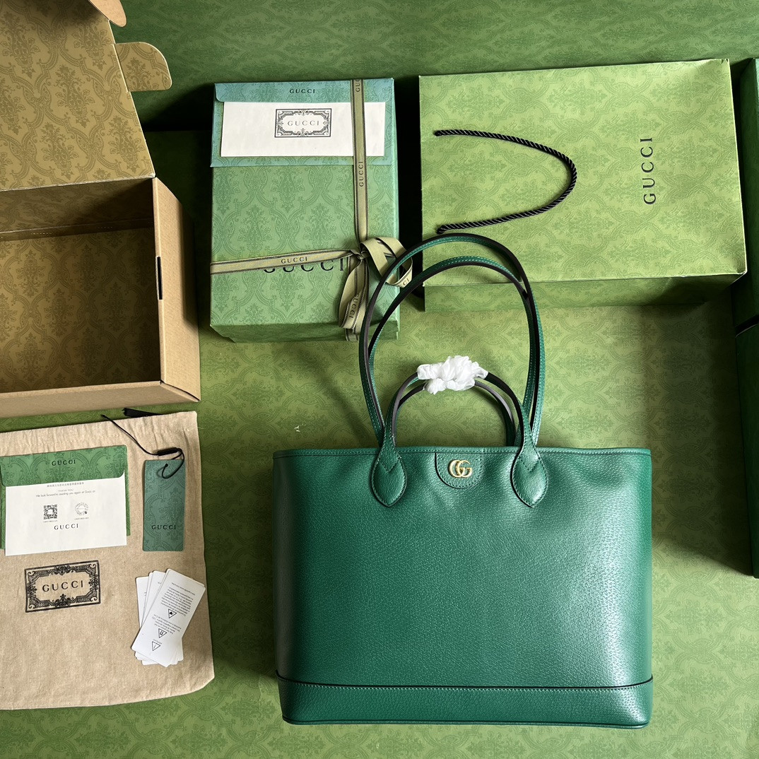 Gucci Ophidia Bag