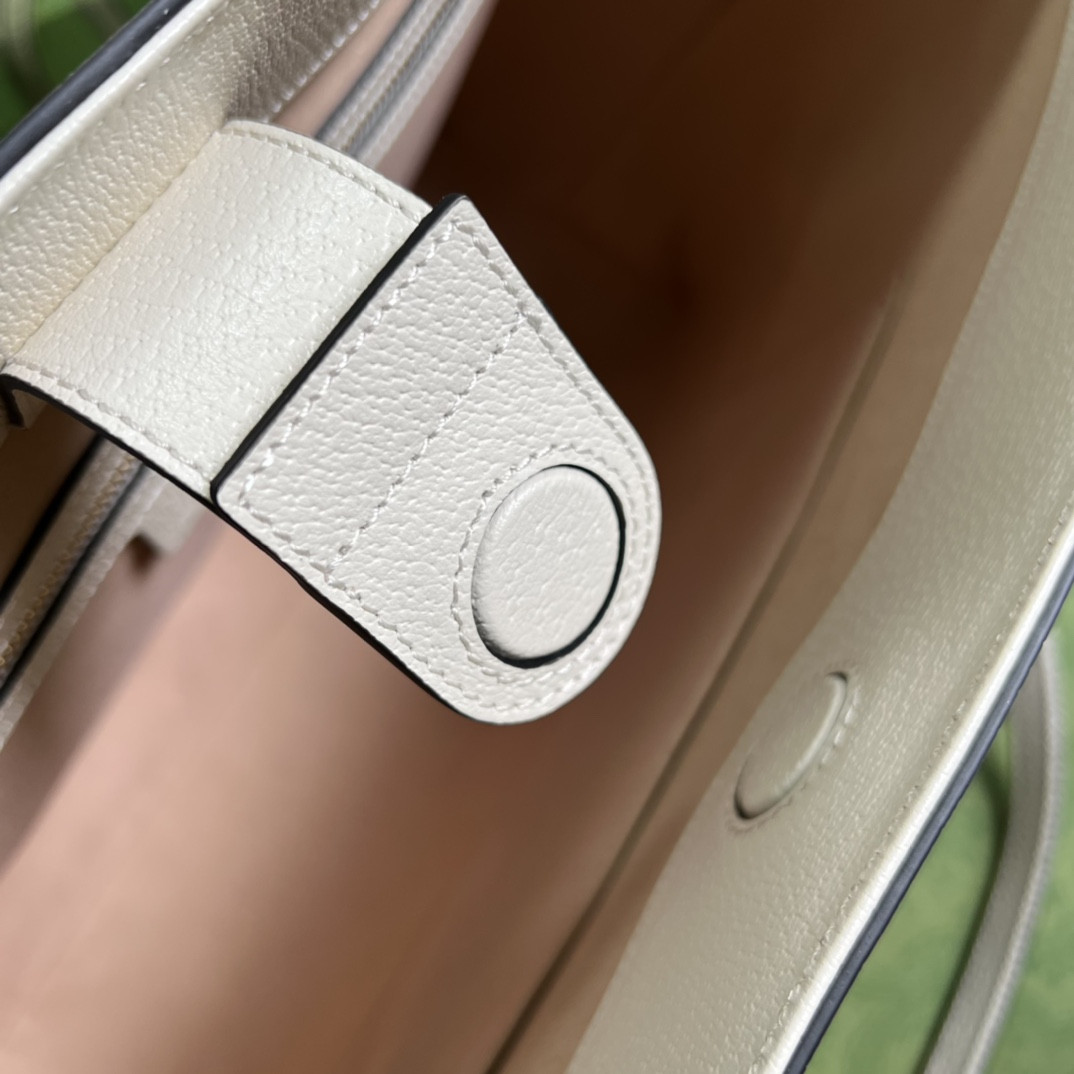 Gucci Ophidia Bag