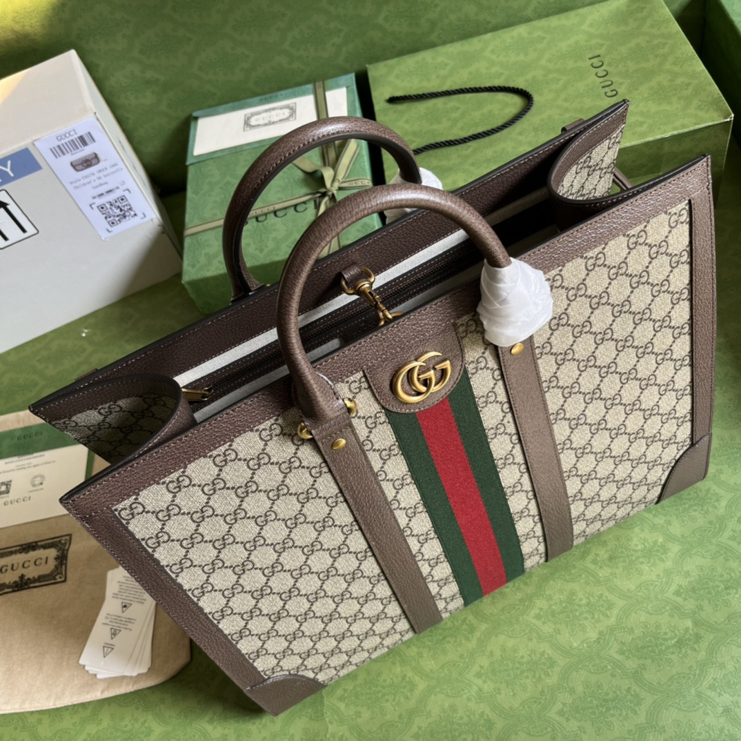 Gucci Ophidia Bag