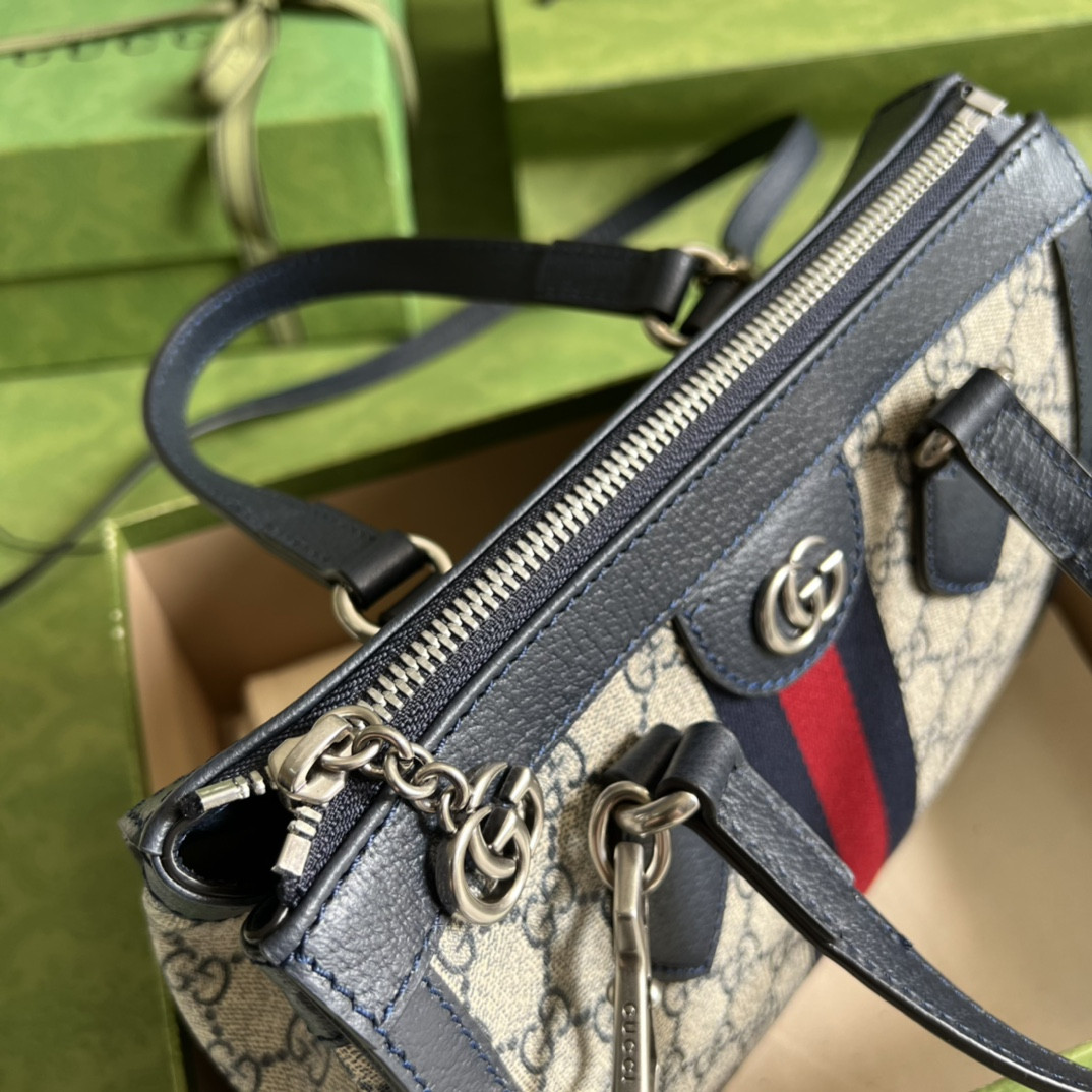 Gucci Ophidia Bag