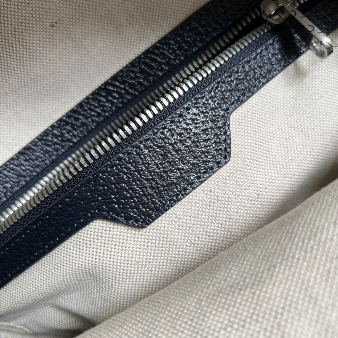 Gucci Ophidia Bag