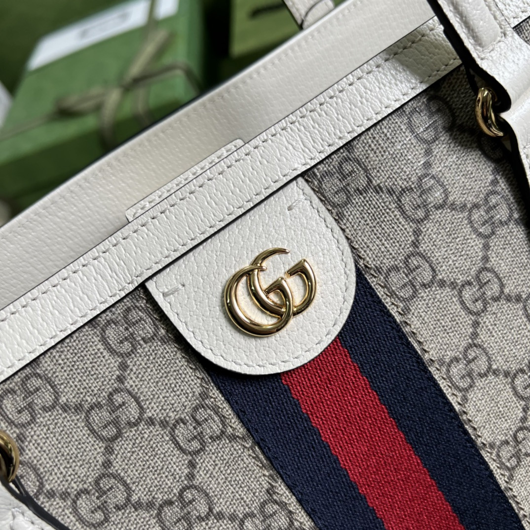 Gucci Ophidia Bag