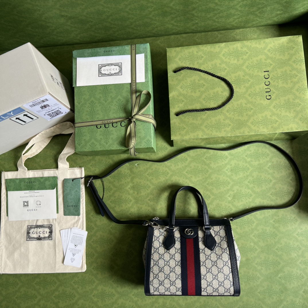 Gucci Ophidia Bag