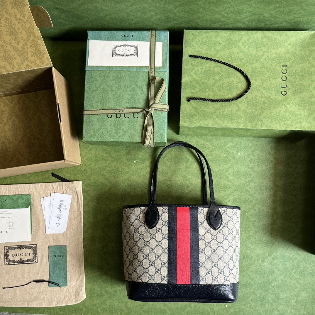 Gucci Ophidia Bag
