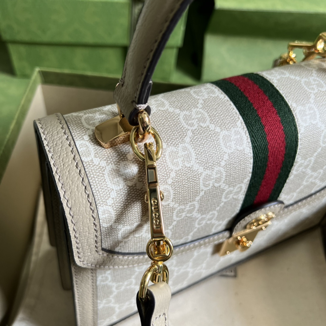 Gucci Ophidia Bag