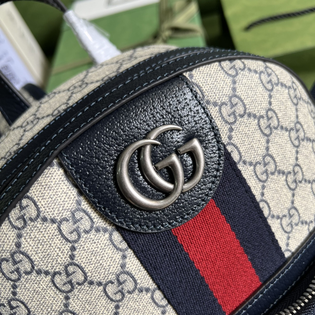 Gucci Ophidia Bag