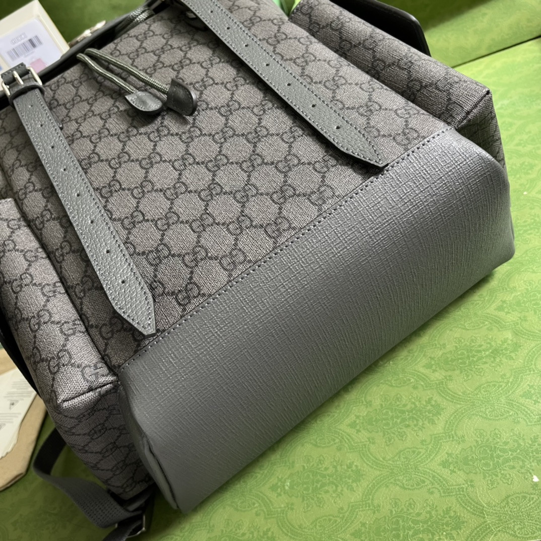 Gucci Ophidia Bag