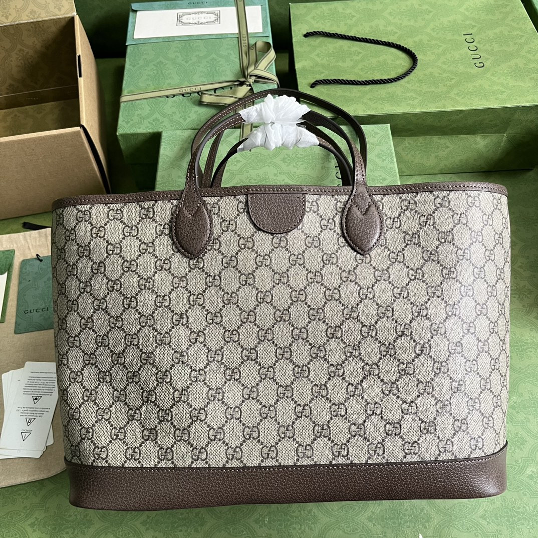 Gucci Ophidia Bag