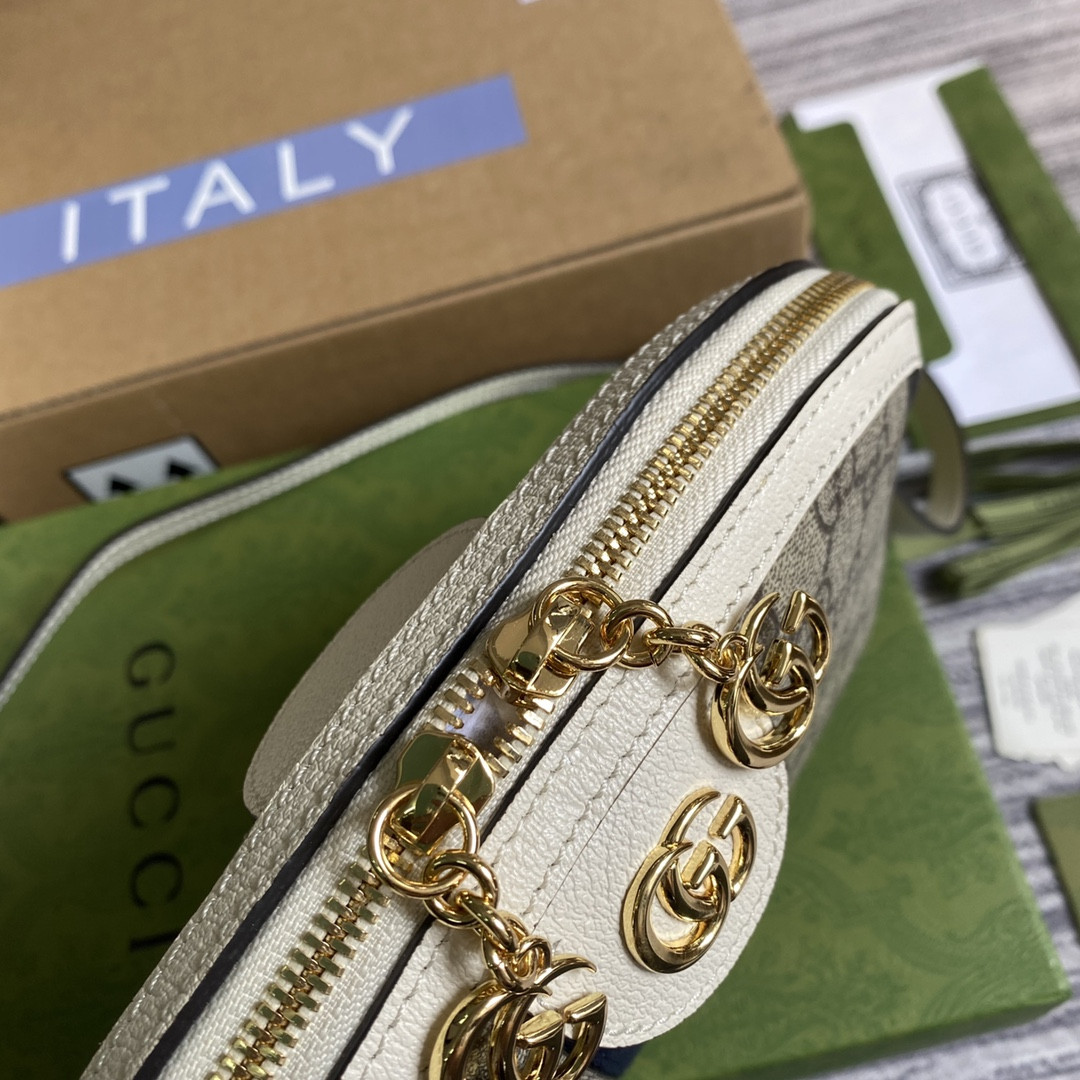 Gucci Ophidia Bag
