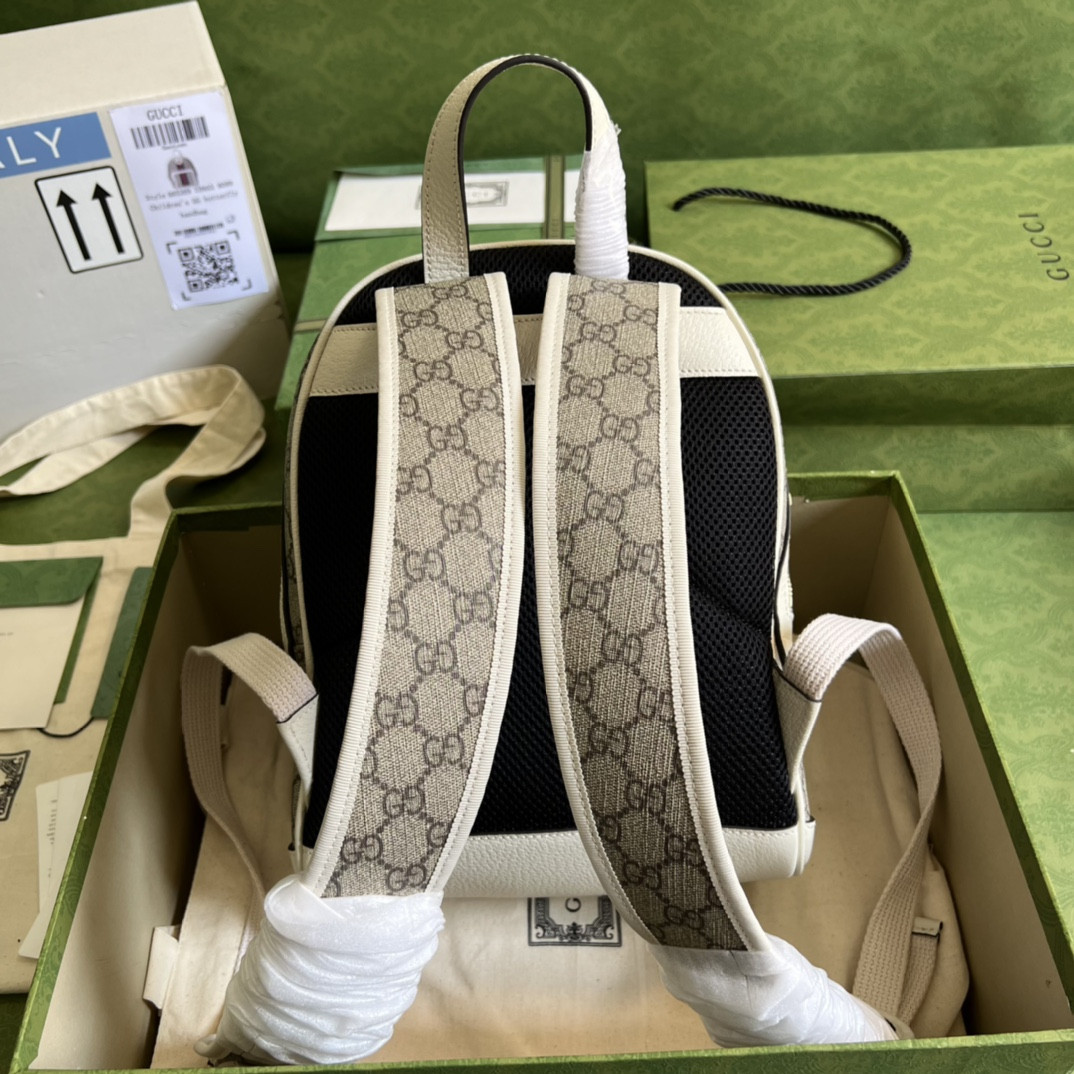 Gucci Ophidia Bag
