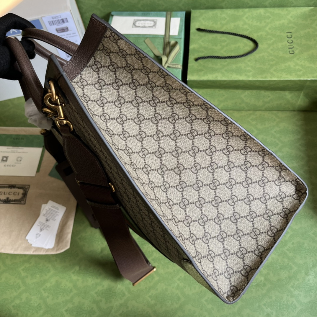 Gucci Ophidia Bag