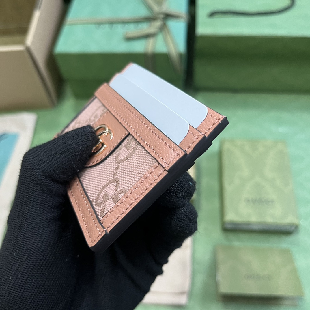 Gucci Ophidia Bag