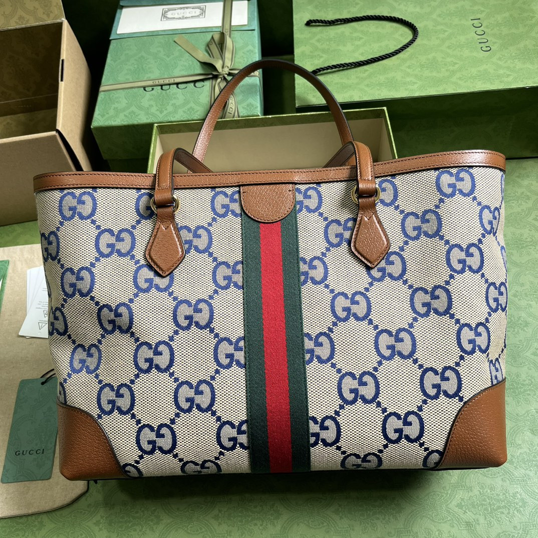Gucci Ophidia Bag