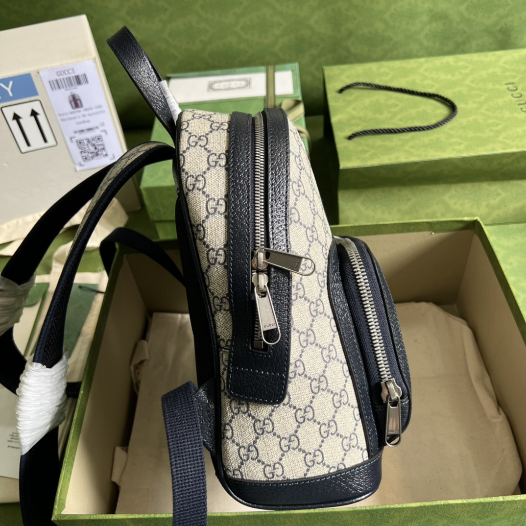 Gucci Ophidia Bag