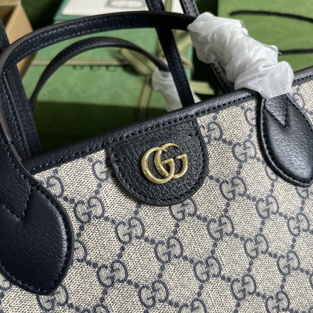 Gucci Ophidia Bag