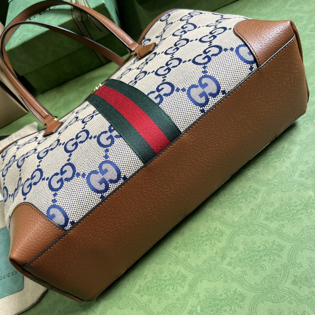 Gucci Ophidia Bag