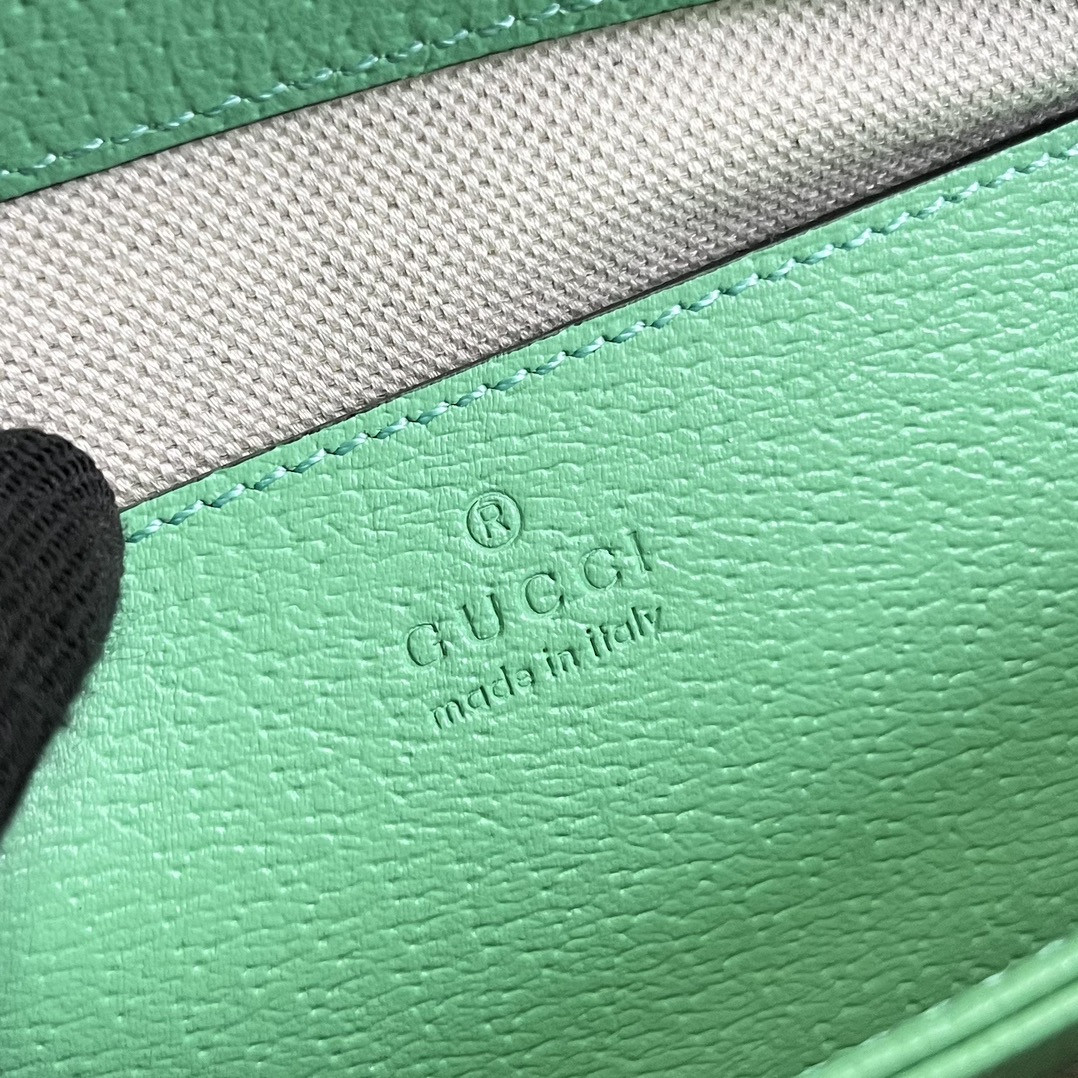 Gucci Ophidia Bag