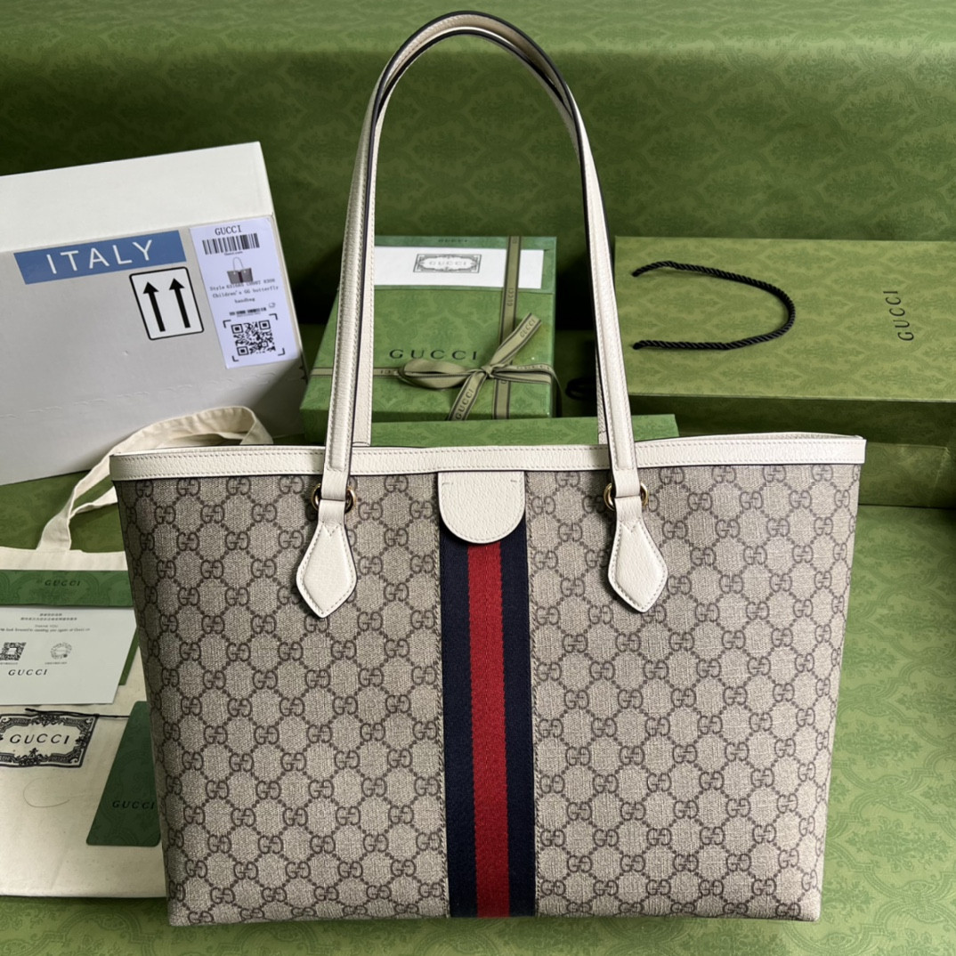 Gucci Ophidia Bag
