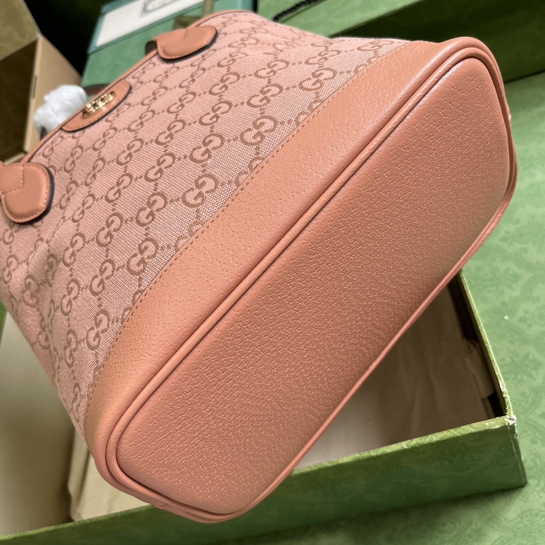 Gucci Ophidia Bag