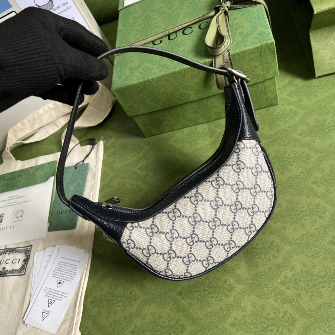 Gucci Ophidia Bag