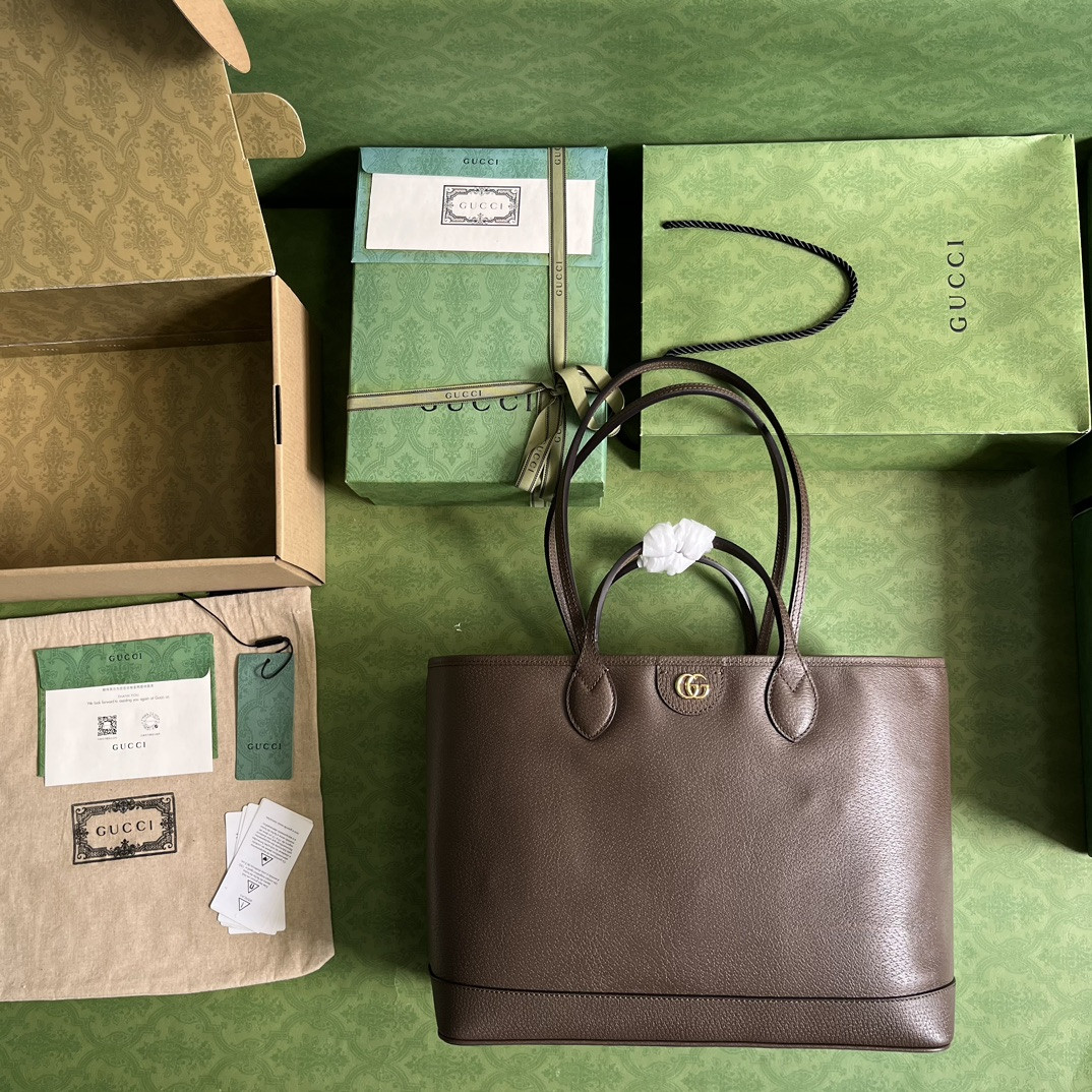 Gucci Ophidia Bag