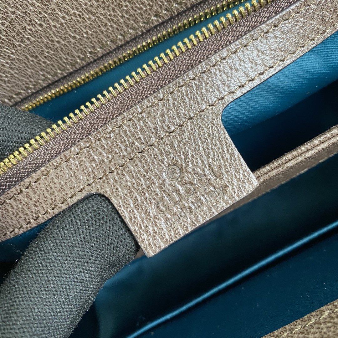 Gucci Ophidia Bag