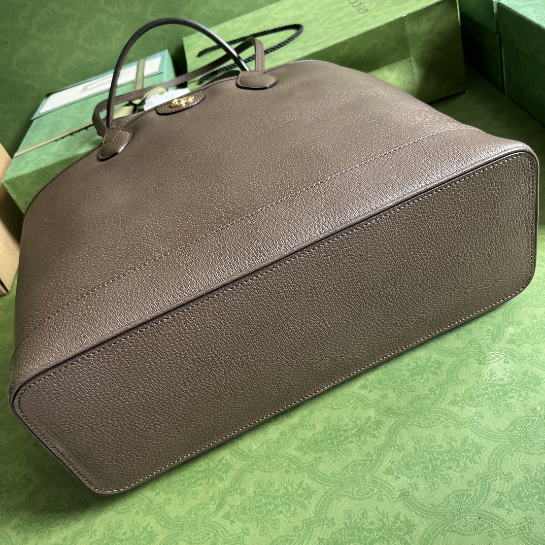 Gucci Ophidia Bag