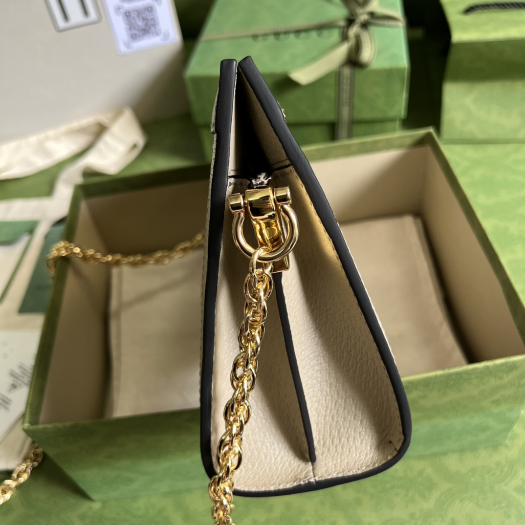 Gucci Ophidia Bag
