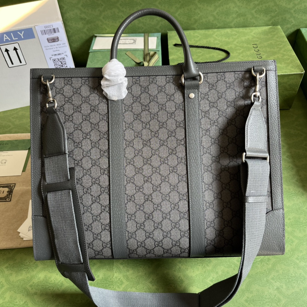 Gucci Ophidia Bag