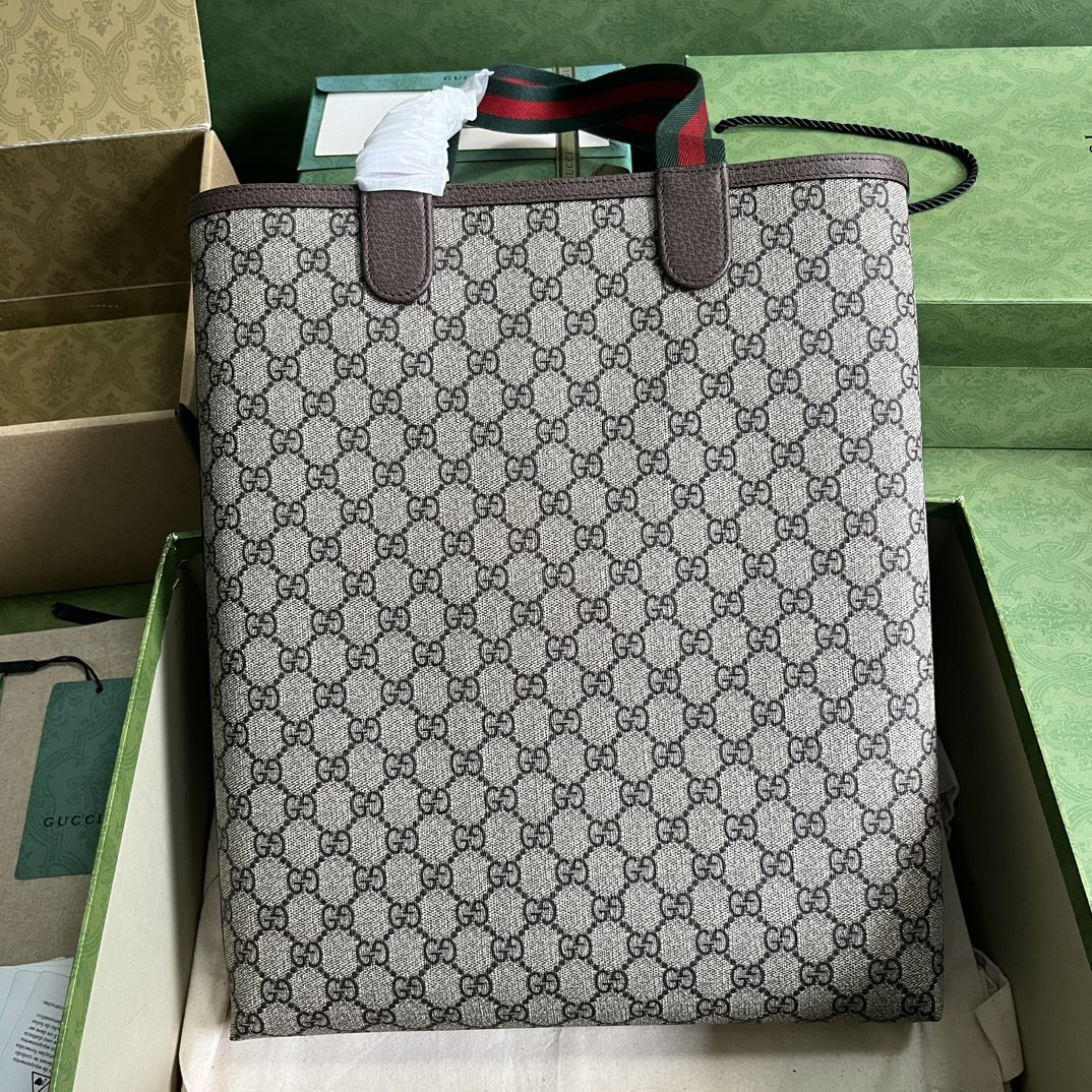 Gucci Ophidia Bag