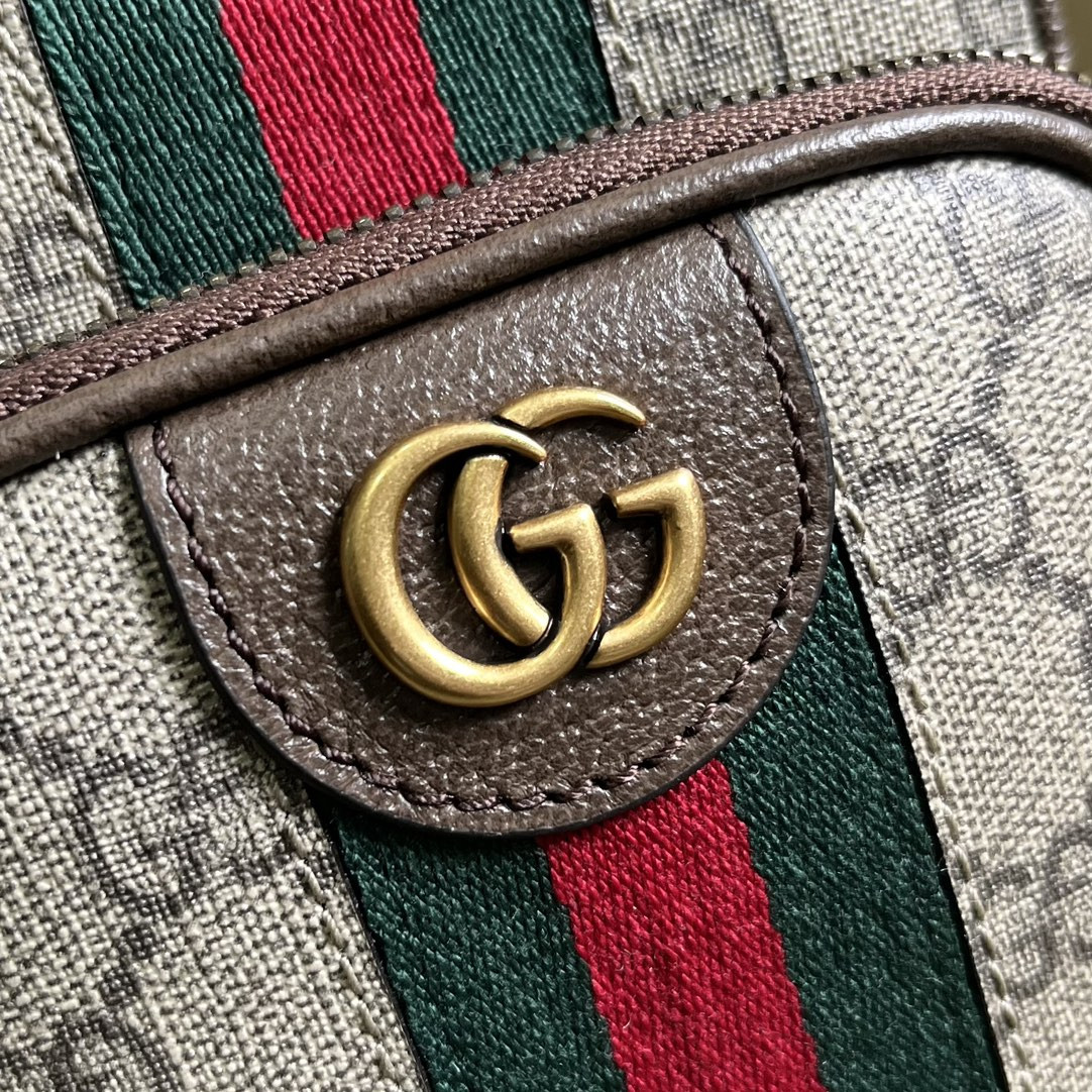 Gucci Ophidia Bag