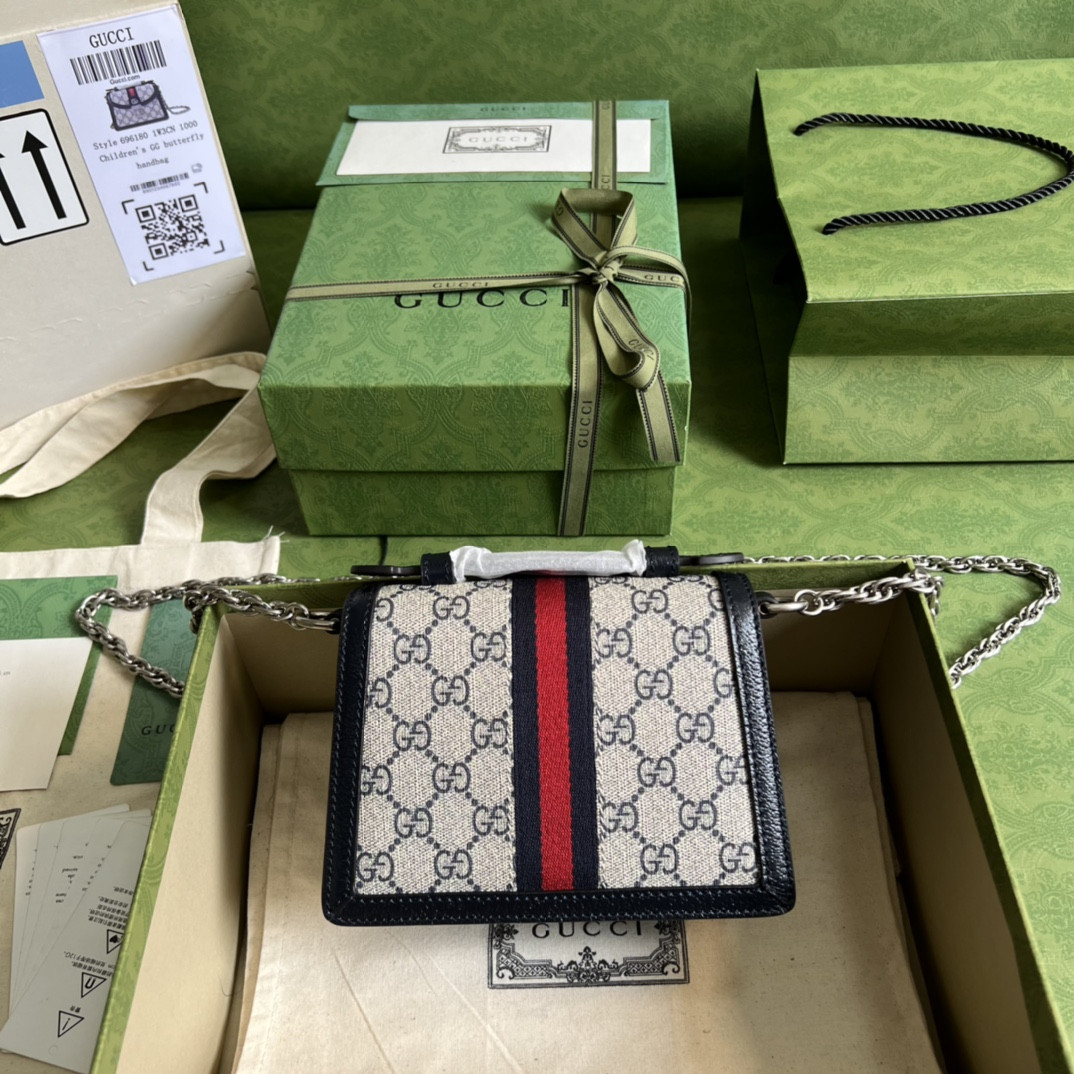 Gucci Ophidia Bag