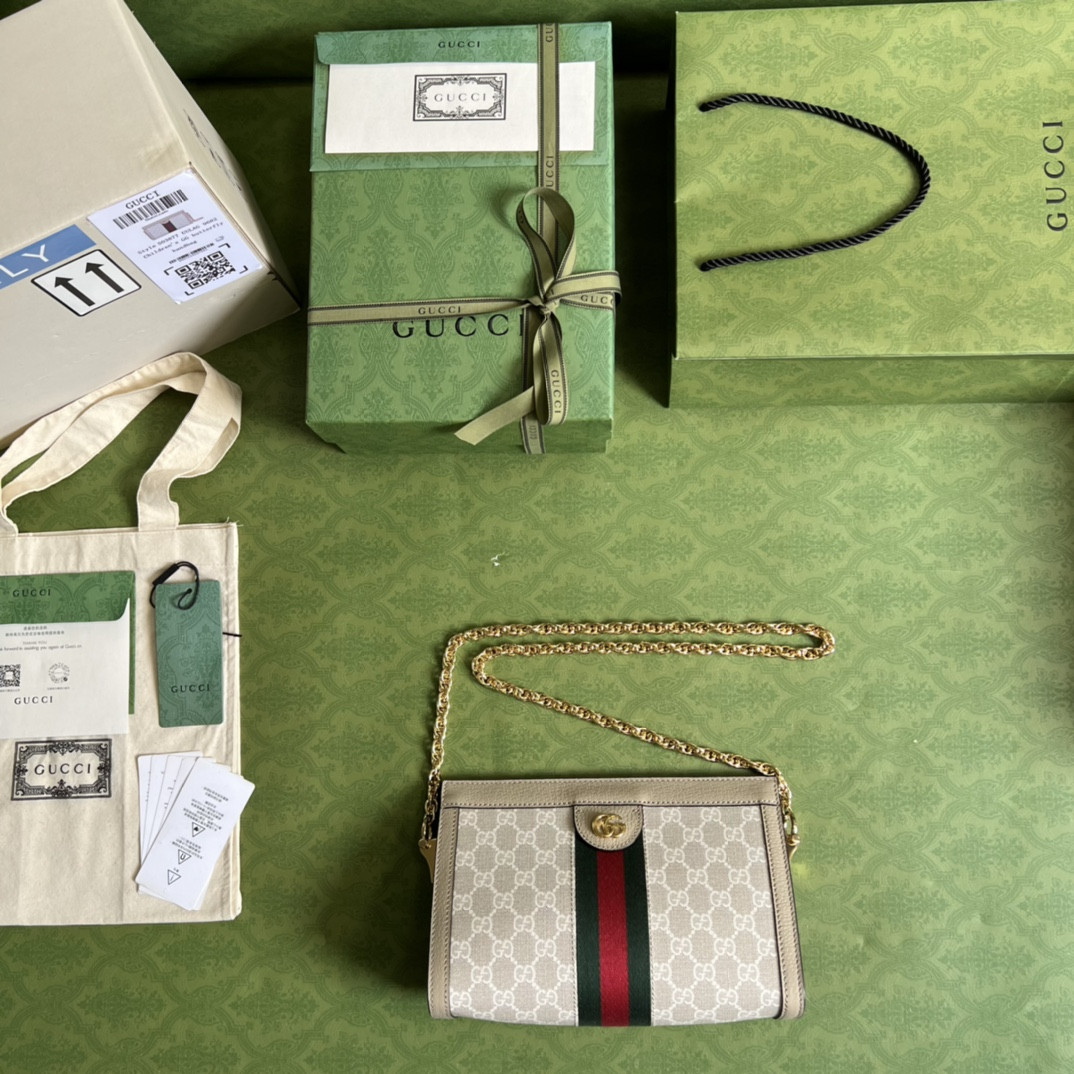Gucci Ophidia Bag