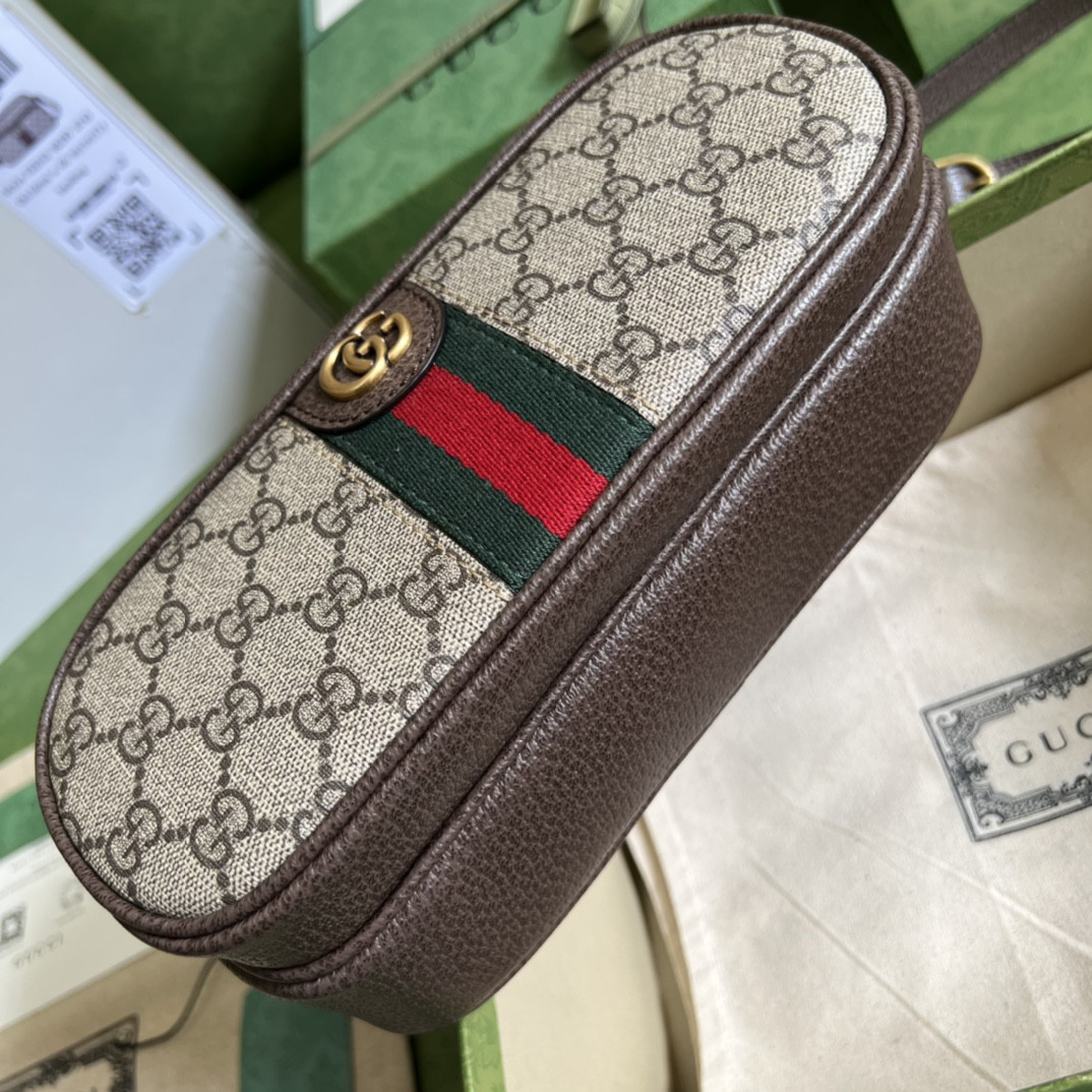 Gucci Ophidia Bag