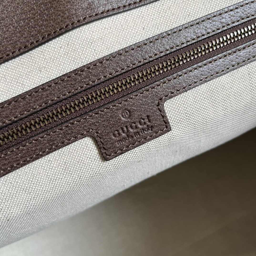 Gucci Ophidia Bag