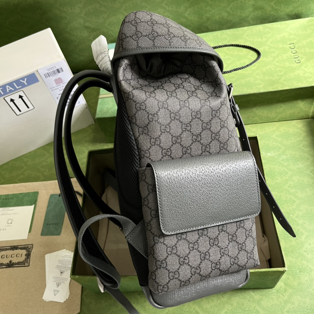 Gucci Ophidia Bag