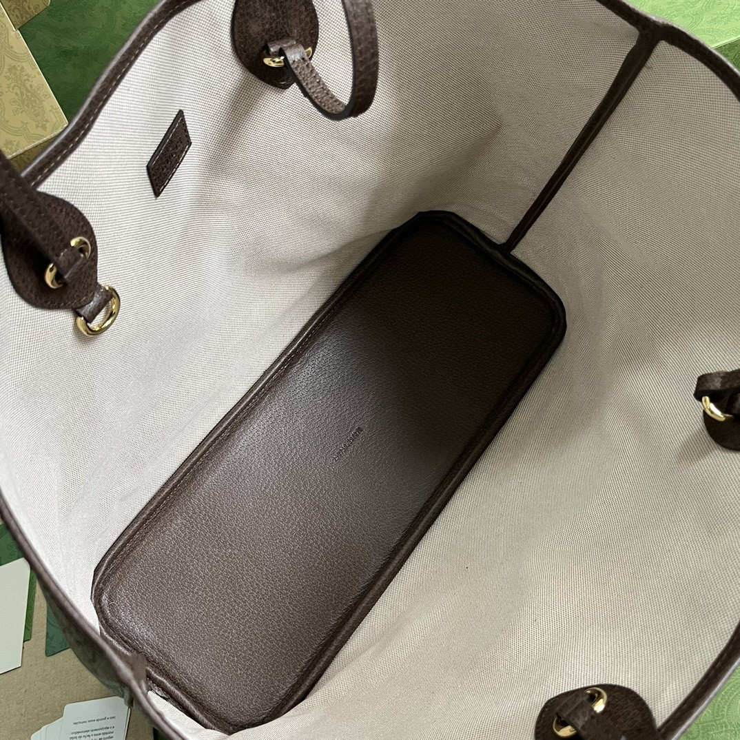 Gucci Ophidia Bag