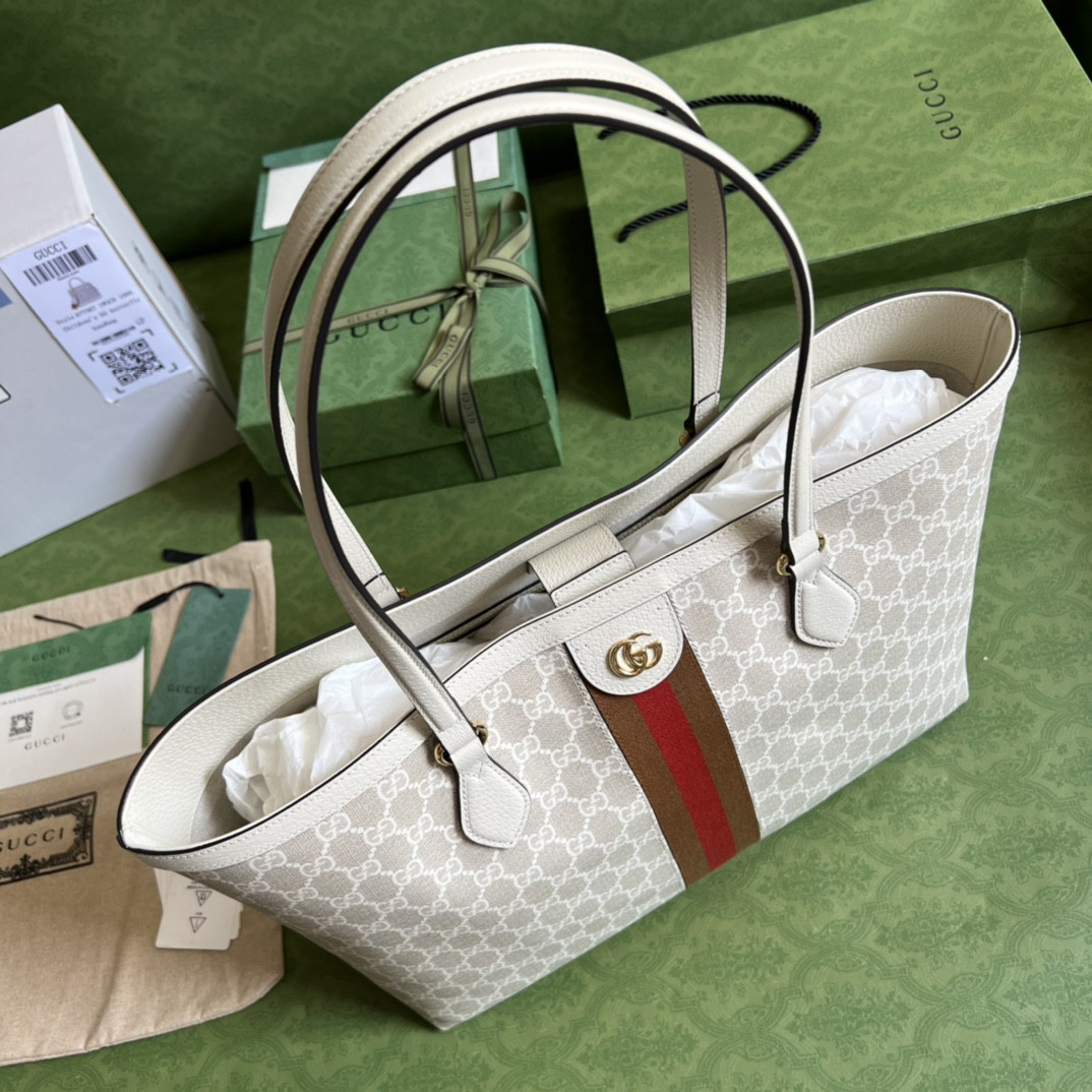 Gucci Ophidia Bag